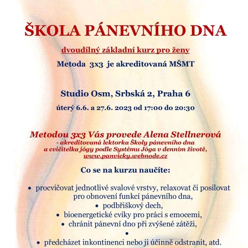 Škola pánevního dna